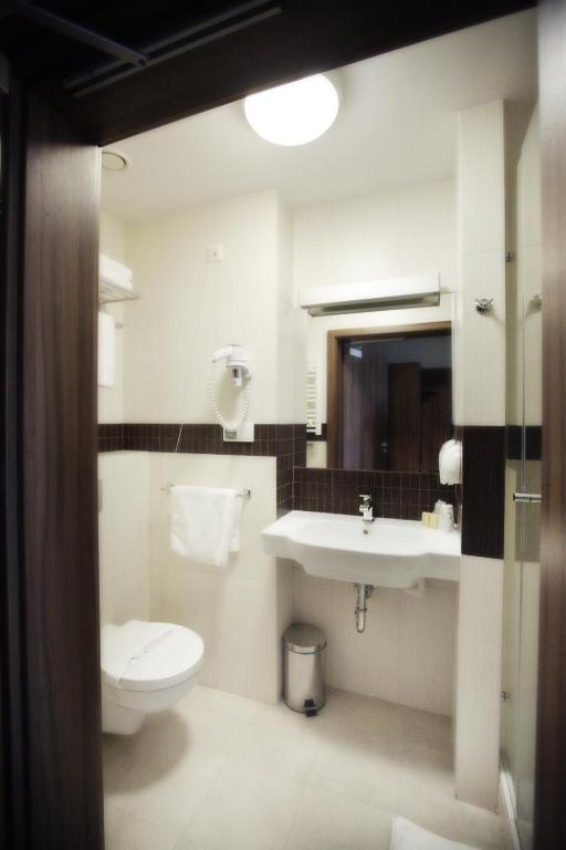 Hotel Termy Palacowe Nałęczów Værelse billede